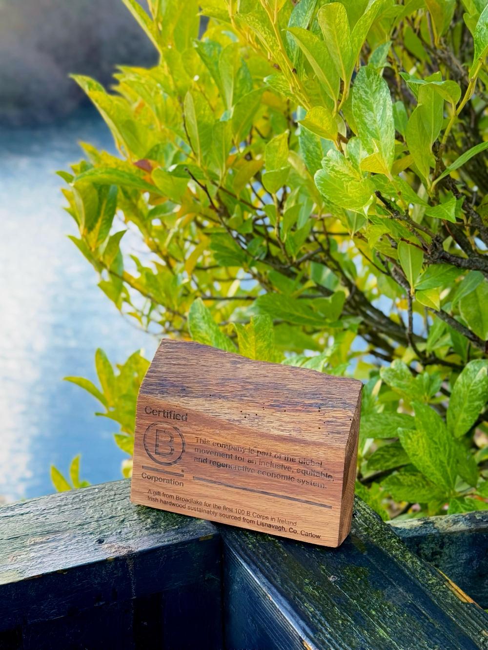 Proud to Be in the First 100 Club: Celebrating Our B Corp Milestone