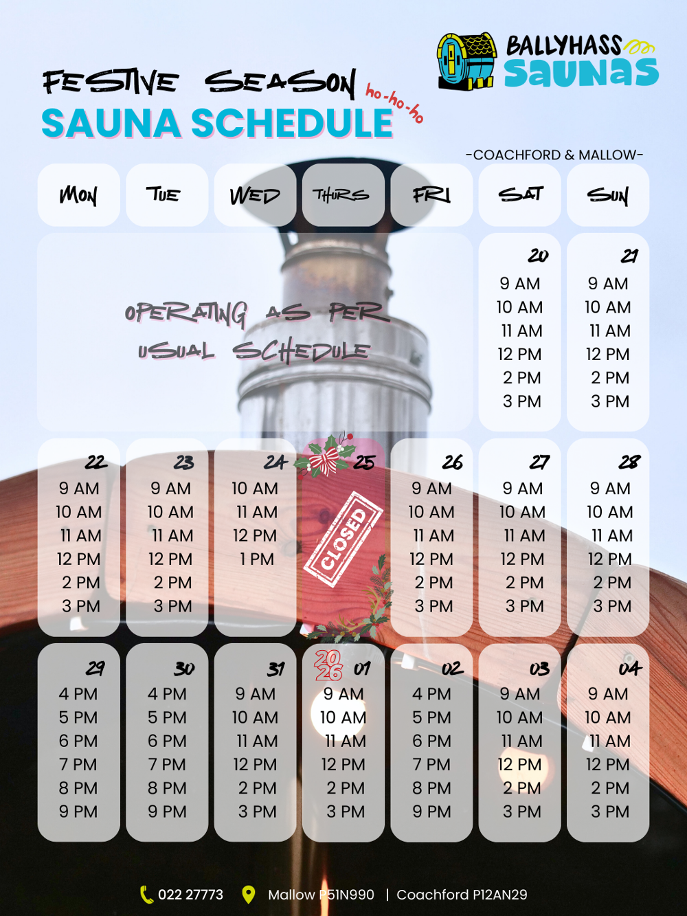 Sauna Scoop: Cold Plunges, Movember & Holiday Wellness at Ballyhass