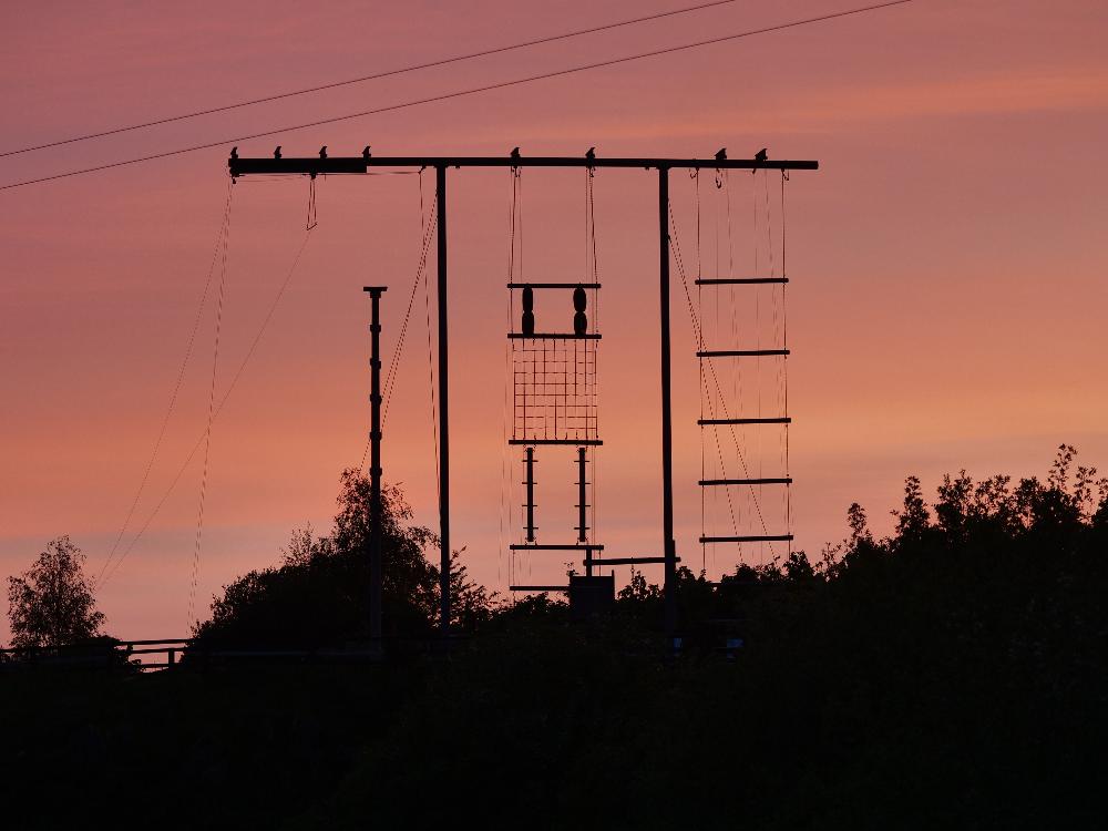 Ballyhass Opens Residential Summer Camps to Dublin Families with Fully Supervised Transport from Heuston Station